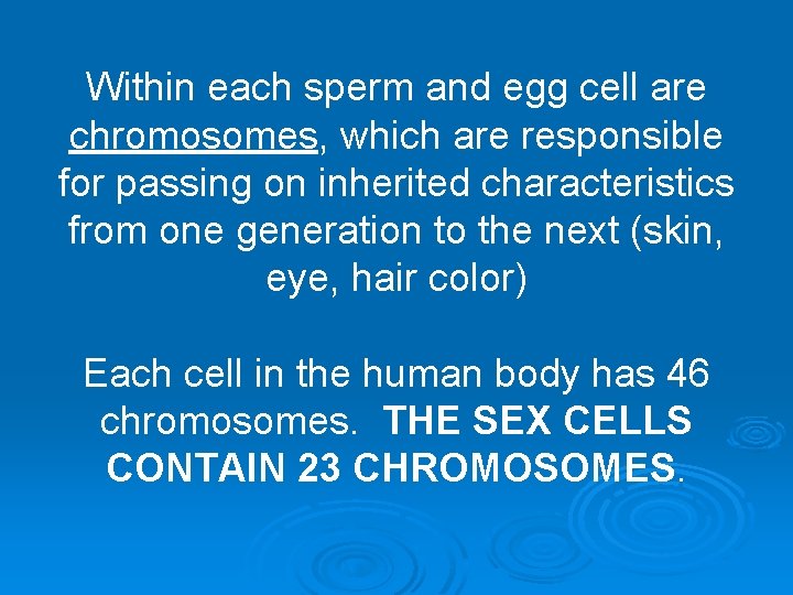 Within each sperm and egg cell are chromosomes, which are responsible for passing on