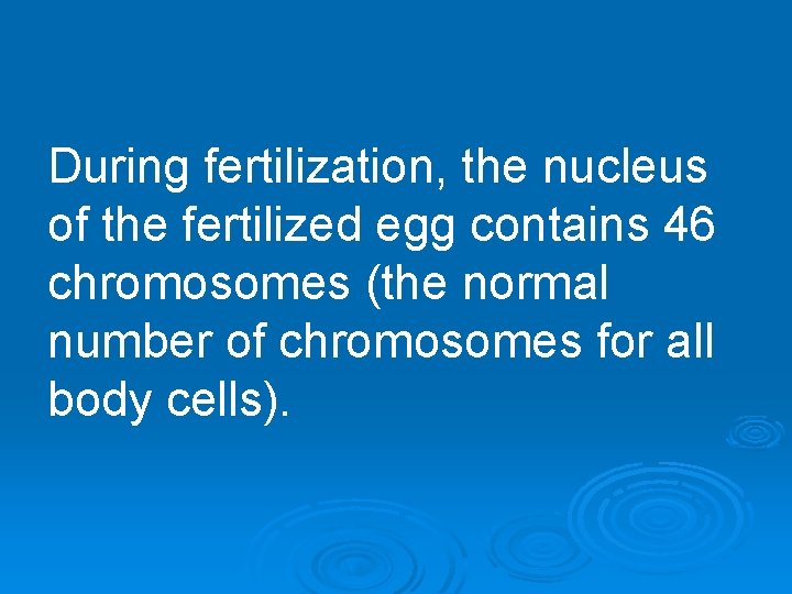 During fertilization, the nucleus of the fertilized egg contains 46 chromosomes (the normal number