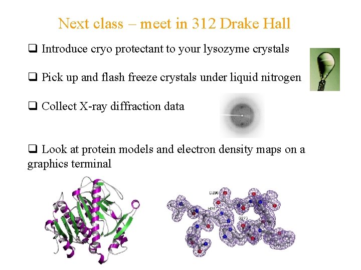 Next class – meet in 312 Drake Hall q Introduce cryo protectant to your