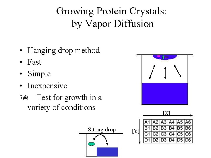 Growing Protein Crystals: by Vapor Diffusion • Hanging drop method • Fast • Simple