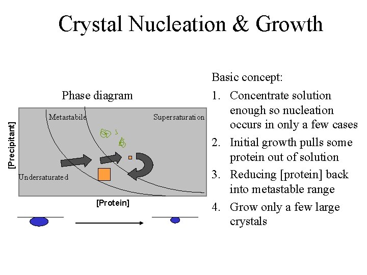 Crystal Nucleation & Growth Phase diagram Supersaturation [Precipitant] Metastabile Undersaturated [Protein] Basic concept: 1.