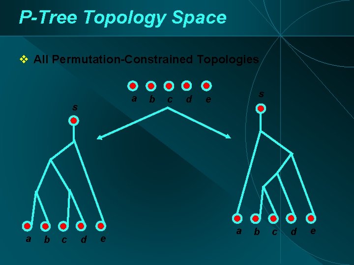 P-Tree Topology Space All Permutation-Constrained Topologies a b c d e b c d