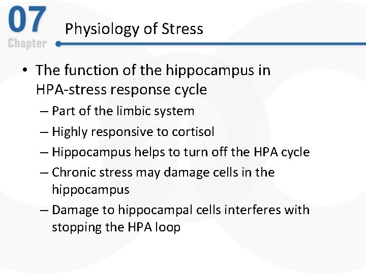 Physiology of Stress • The function of the hippocampus in HPA-stress response cycle –