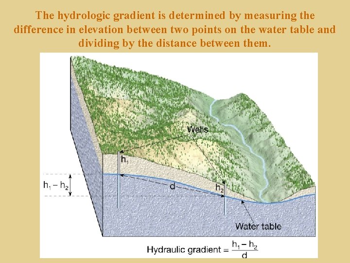 The hydrologic gradient is determined by measuring the difference in elevation between two points