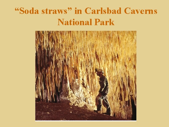 “Soda straws” in Carlsbad Caverns National Park 