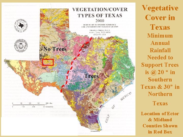 Vegetative Cover in Texas No Trees Minimum Annual Rainfall Needed to Support Trees is