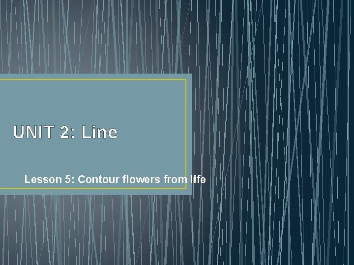 UNIT 2: Line Lesson 5: Contour flowers from life 