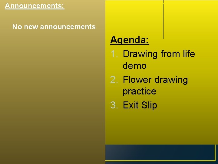 Announcements: No new announcements Agenda: 1. Drawing from life demo 2. Flower drawing practice