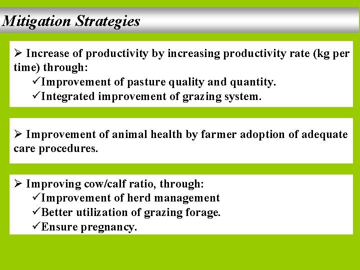 Mitigation Strategies Ø Increase of productivity by increasing productivity rate (kg per time) through: