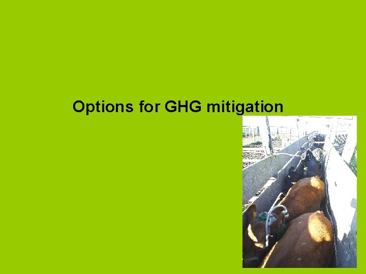 Options for GHG mitigation 