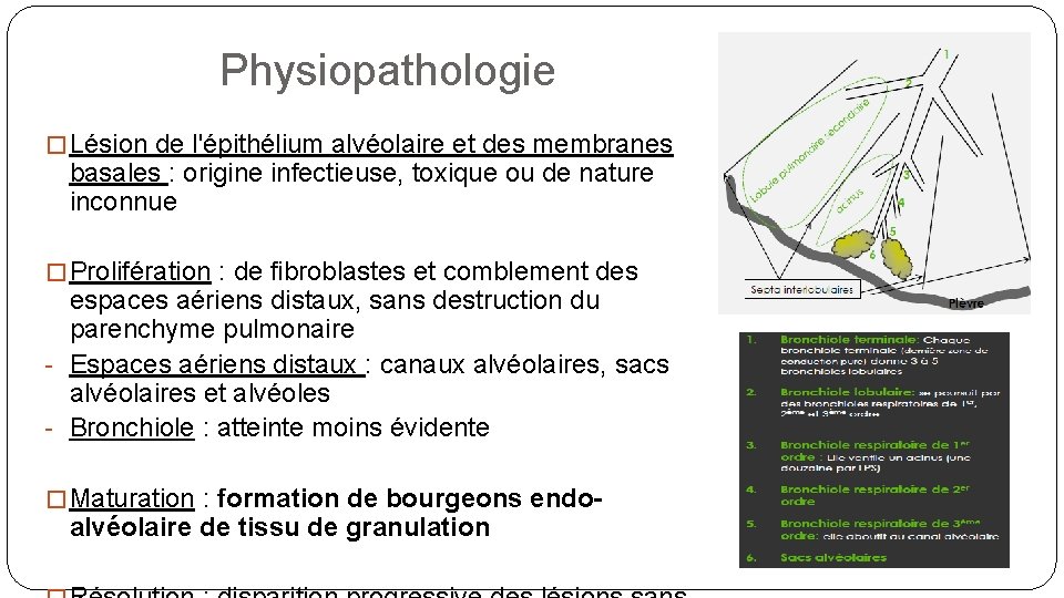 Physiopathologie � Lésion de l'épithélium alvéolaire et des membranes basales : origine infectieuse, toxique