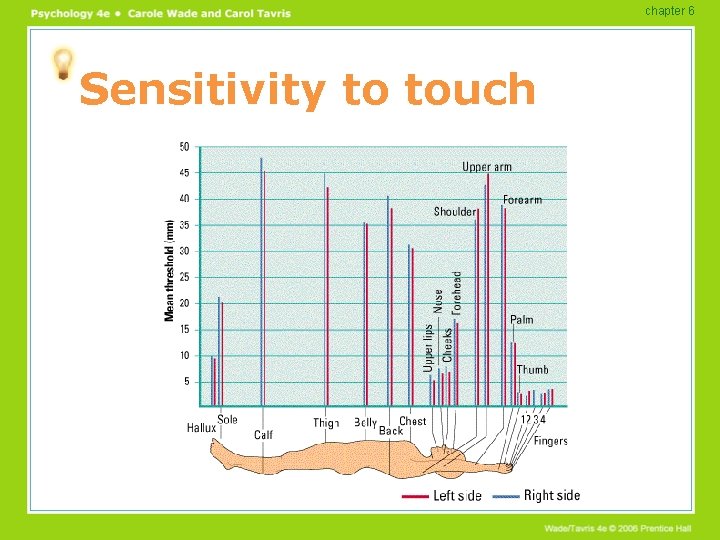 chapter 6 Sensitivity to touch 