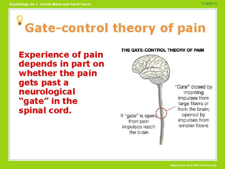 chapter 6 Gate-control theory of pain Experience of pain depends in part on whether