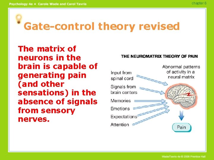 chapter 6 Gate-control theory revised The matrix of neurons in the brain is capable