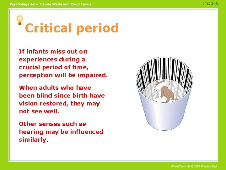 chapter 6 Critical period If infants miss out on experiences during a crucial period