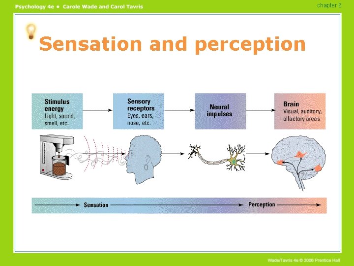 chapter 6 Sensation and perception 