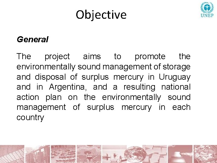 Objective General The project aims to promote the environmentally sound management of storage and