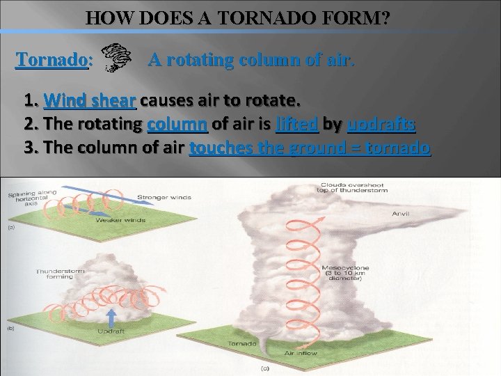 HOW DOES A TORNADO FORM? Tornado: A rotating column of air. 1. Wind shear