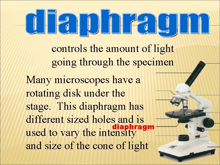 controls the amount of light going through the specimen Many microscopes have a rotating