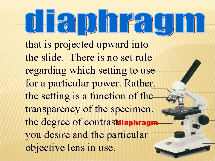 that is projected upward into the slide. There is no set rule regarding which