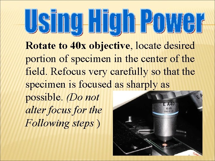Rotate to 40 x objective, locate desired portion of specimen in the center of