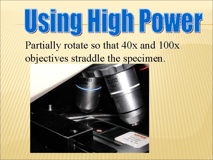 Partially rotate so that 40 x and 100 x objectives straddle the specimen. 