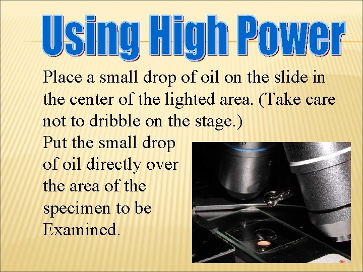 Place a small drop of oil on the slide in the center of the