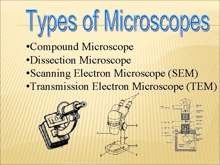  • Compound Microscope • Dissection Microscope • Scanning Electron Microscope (SEM) • Transmission