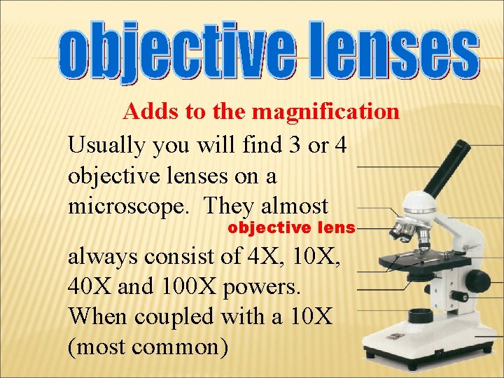 Adds to the magnification Usually you will find 3 or 4 objective lenses on