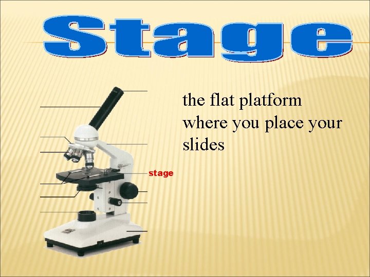 the flat platform where you place your slides stage 