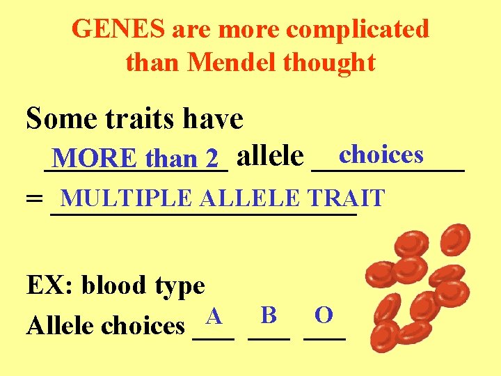 GENES are more complicated than Mendel thought Some traits have choices ______ MORE than
