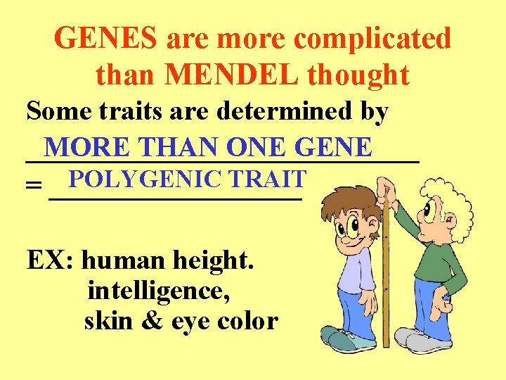GENES are more complicated than MENDEL thought Some traits are determined by MORE THAN