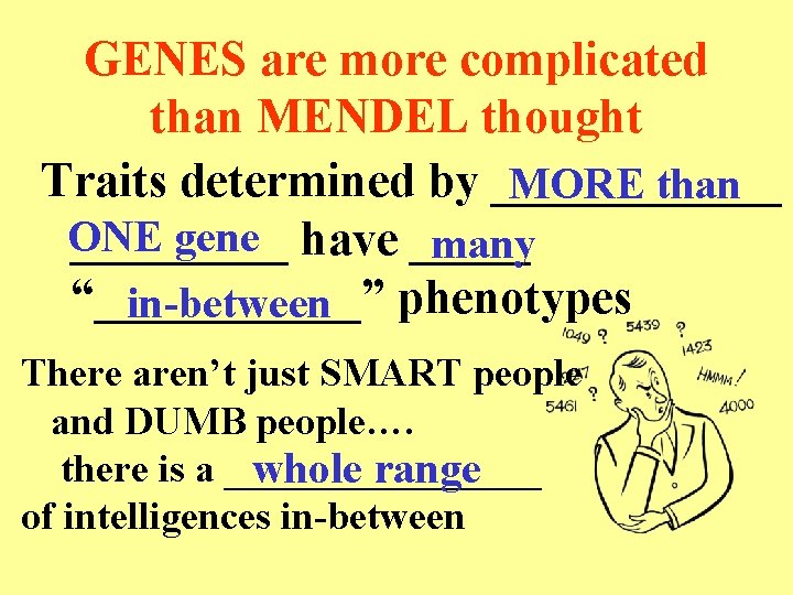 GENES are more complicated than MENDEL thought Traits determined by ______ MORE than ONE