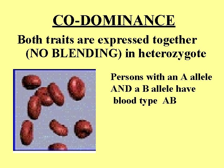 CO-DOMINANCE Both traits are expressed together (NO BLENDING) in heterozygote Persons with an A