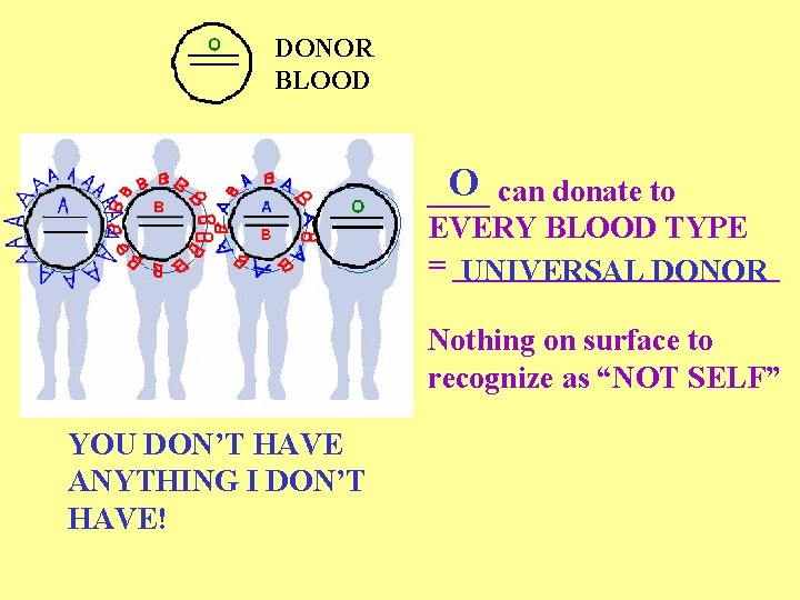 DONOR BLOOD O can donate to ____ EVERY BLOOD TYPE = ___________ UNIVERSAL DONOR