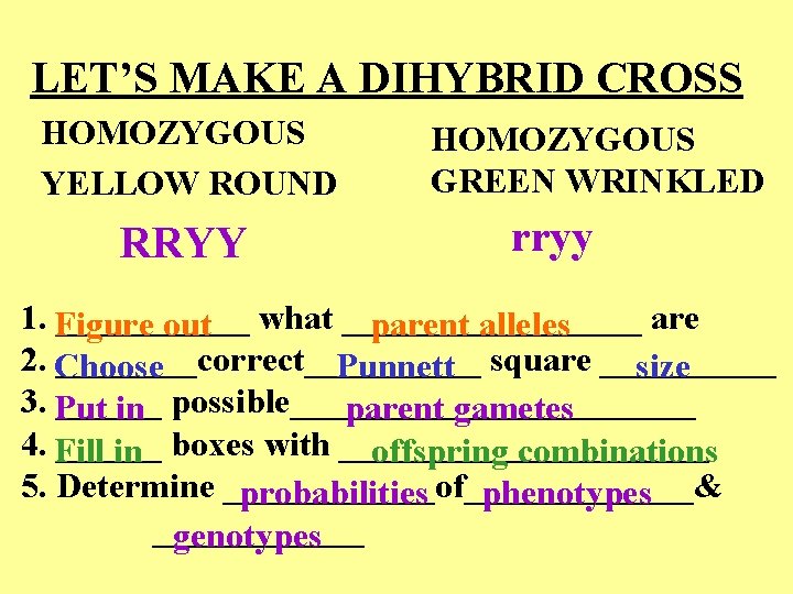 LET’S MAKE A DIHYBRID CROSS HOMOZYGOUS YELLOW ROUND RRYY HOMOZYGOUS GREEN WRINKLED rryy 1.