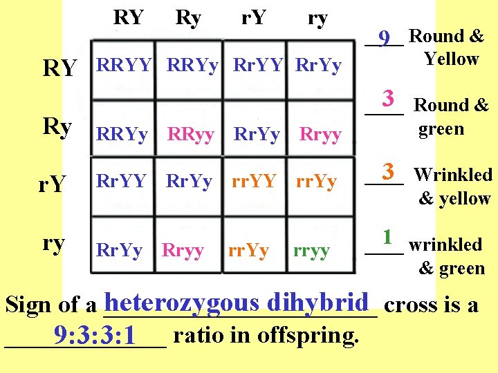 RY Ry r. Y ry RRYY RRYy Rr. YY Rr. Yy ____ 9 Round