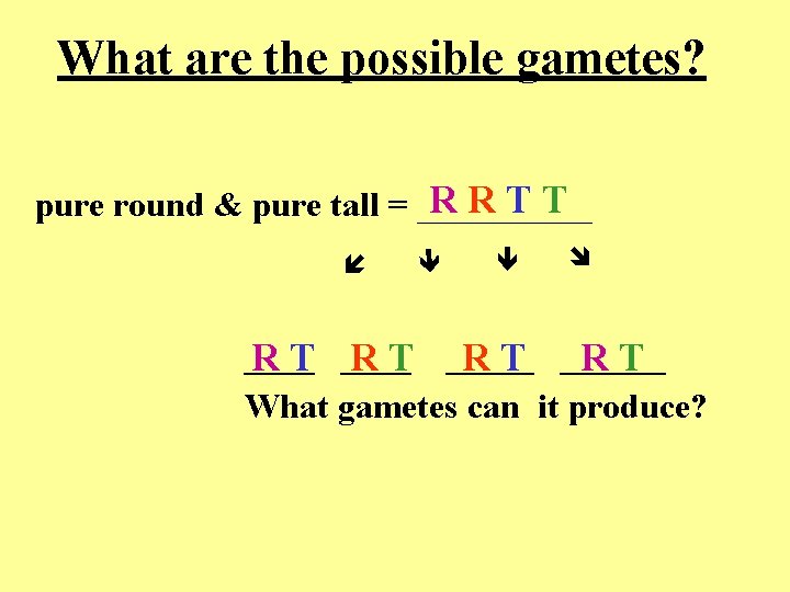 What are the possible gametes? RRTT pure round & pure tall = _____ R