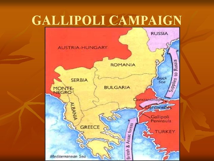 GALLIPOLI CAMPAIGN 
