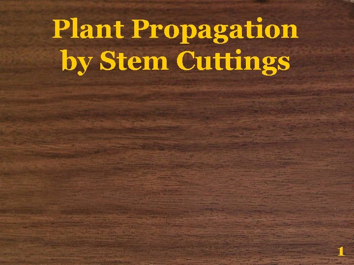 Plant Propagation by Stem Cuttings 1 