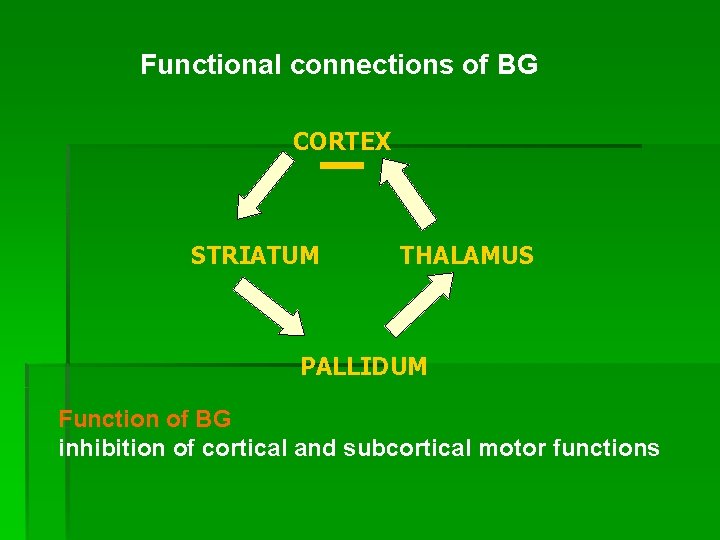 Functional connections of BG CORTEX STRIATUM THALAMUS PALLIDUM Function of BG inhibition of cortical