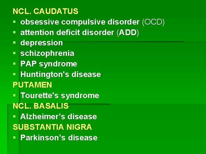 NCL. CAUDATUS § obsessive compulsive disorder (OCD) § attention deficit disorder (ADD) § depression