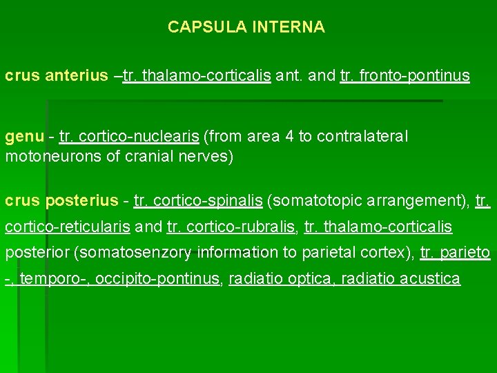CAPSULA INTERNA crus anterius –tr. thalamo-corticalis ant. and tr. fronto-pontinus genu - tr. cortico-nuclearis