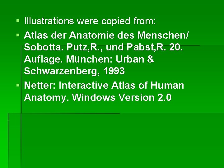 § Illustrations were copied from: § Atlas der Anatomie des Menschen/ Sobotta. Putz, R.