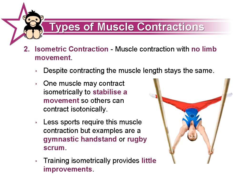 Types of Muscle Contractions 2. Isometric Contraction - Muscle contraction with no limb movement.