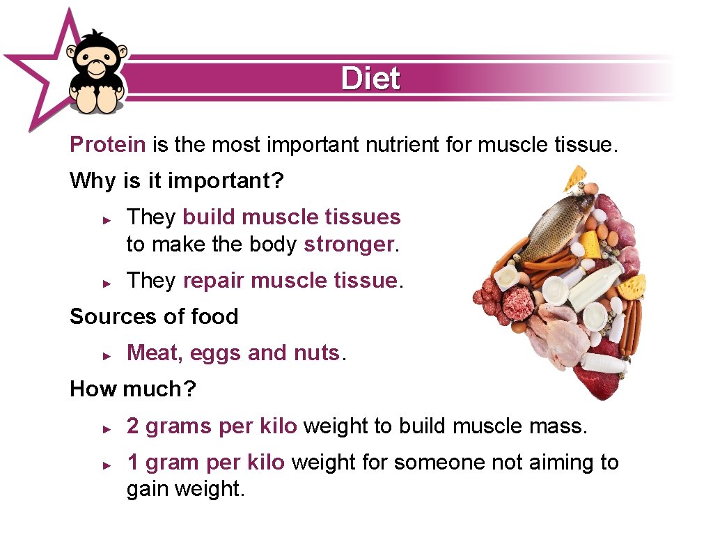 Diet Protein is the most important nutrient for muscle tissue. Why is it important?