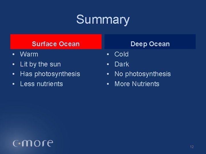 Summary Surface Ocean • • Warm Lit by the sun Has photosynthesis Less nutrients