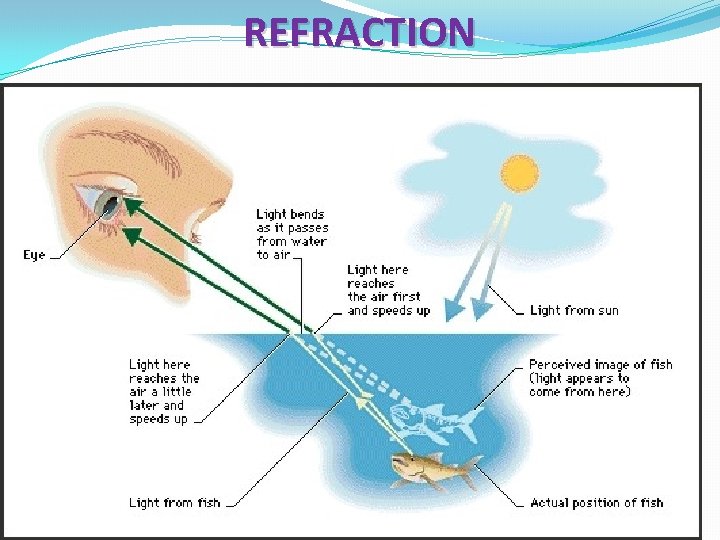 REFRACTION 