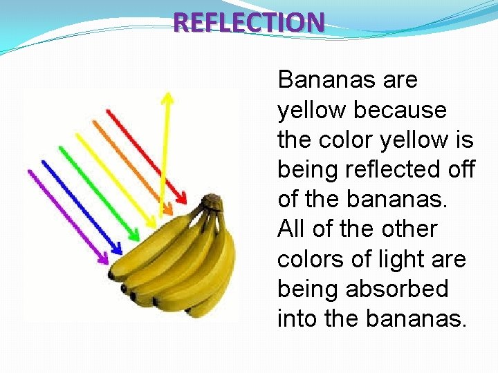 REFLECTION Bananas are yellow because the color yellow is being reflected off of the