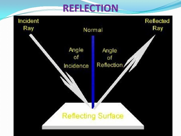 REFLECTION 